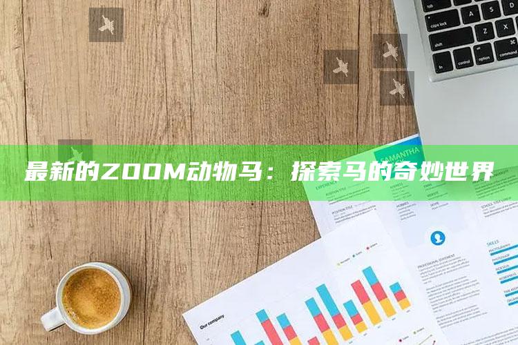 最新的ZOOM动物马：探索马的奇妙世界